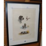 Signed coloured plate, German pointer. 39 x 29cms Condition reports provided on request by email for