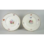 A pair of Nantgarw porcelain plates painted with a central spray of flowers and four sprigs to the