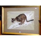 JEFFREY EVANS study - of a puma (framed & glazed) 36 x 56cms Condition reports provided on request