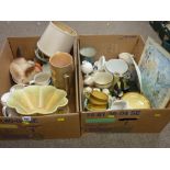 Two boxes of mixed household china and decorative ware