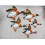 Set of five Beswick flying ducks