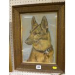 T McALLISTER oil on board - portrait of an Alsatian, 33 x 22 cms