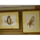 JANE WRIGHT '82 watercolours - studies of a Barn owl and a Tawny owl, 45 x 33 cms and 33 x 44 cms
