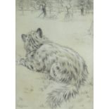 LOUIS WAIN heightened pencil drawing - reclining long-haired cat observing in a garden, signed, 32 x