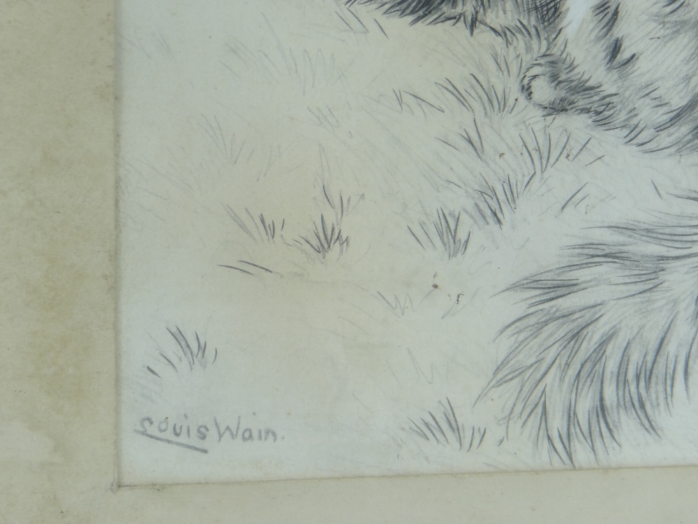 LOUIS WAIN heightened pencil drawing - reclining long-haired cat observing in a garden, signed, 32 x - Image 2 of 2