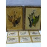 Six colour tinted gilt framed book plates of birds,12 x 18 cms overall and a pair of embossed images