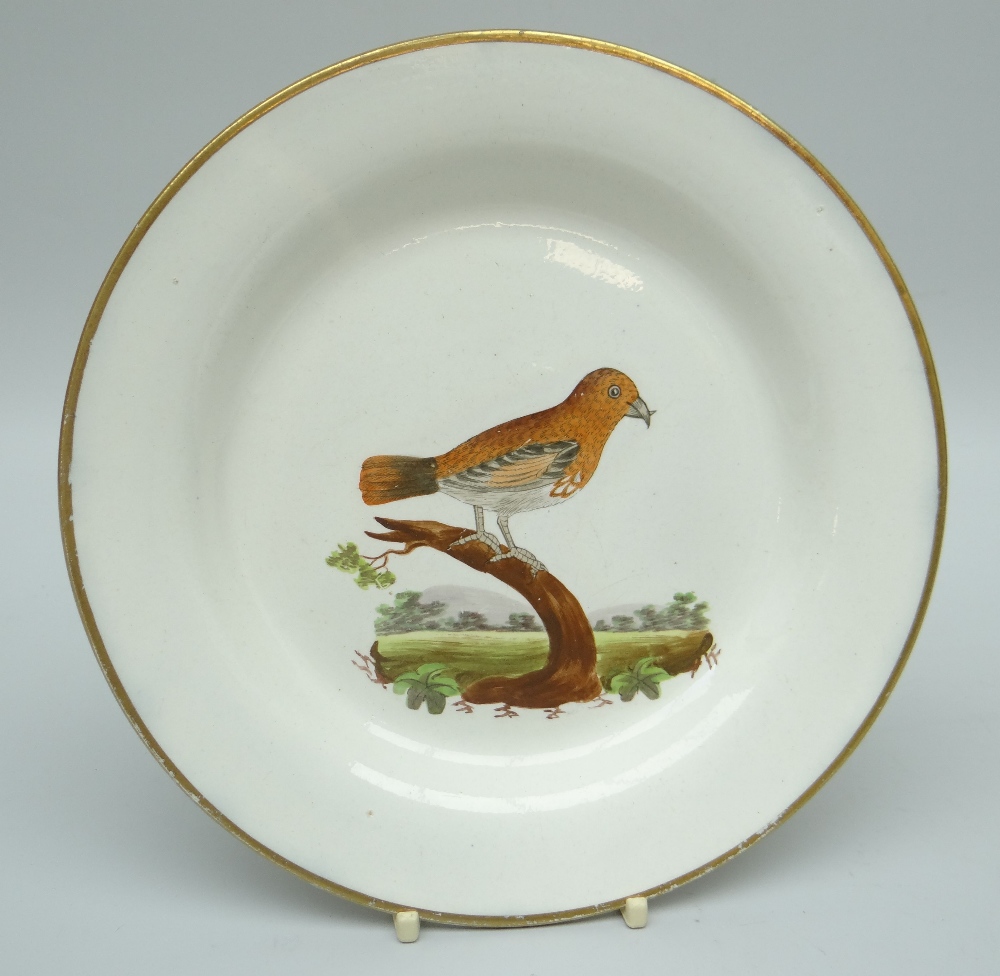 A NINETEENTH CENTURY SWANSEA CAMBRIAN POTTERY CREAMWARE PLATE of circular plain non-moulded form,