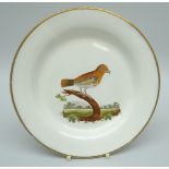 A NINETEENTH CENTURY SWANSEA CAMBRIAN POTTERY CREAMWARE PLATE of circular plain non-moulded form,