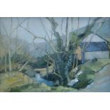 HELEN STERRY oil on board - view of cottage across stream and through tree branches, entitled