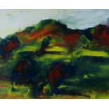 MIKE JONES oil on board - entitled verso 'Landscape in Gwynfe', signed, 25 x 30cms