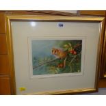 NEIL COX watercolour - study of a dormouse in foliage, signed, 71 x 24.5cms