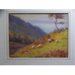 WARREN WILLIAMS ARCA, 1863-1941, watercolour, mounted but unframed - hillside scene with grazing