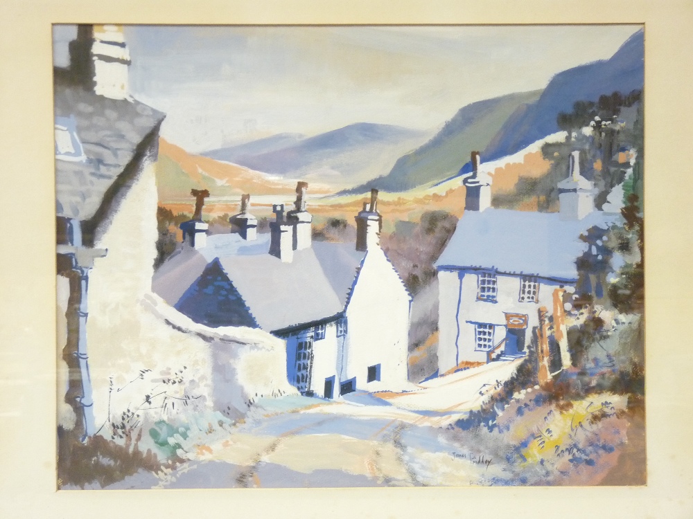 JAMES PRIDDEY watercolour - titled 'In the Conway Valley', signed, 37 x 48cms