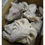 BOX CONTAINING STONE & VICTORIAN STONE & PLASTER MAQUETTES of various animal heads, including ram,