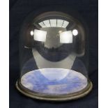 GOOD ANTIQUE GLASS PRESENTATION DOME on black painted circular wooden base with fabric interior,