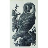 CHARLES FREDERICK TUNNICLIFFE black and white print - study of a perched owl, signed, 36 x 23cms