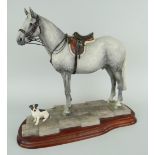BORDER FINE ARTS LIMITED EDITION (46/500) MODEL OF A STANDING DAPPLED GREY HORSE saddled and bridled