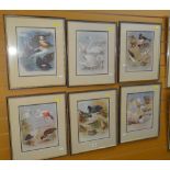 ARCHIBALD THORBURN set of six framed prints - ornithological studies, 30 x 24cms