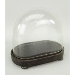 SMALL GLASS OVAL ANTIQUE DISPLAY DOME with wooden base on bun feet, 24.5cms wide