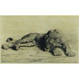 HERBERT THOMAS DICKSEE RE (1862-1942) etching - study of a sleeping lioness, signed and with Fine