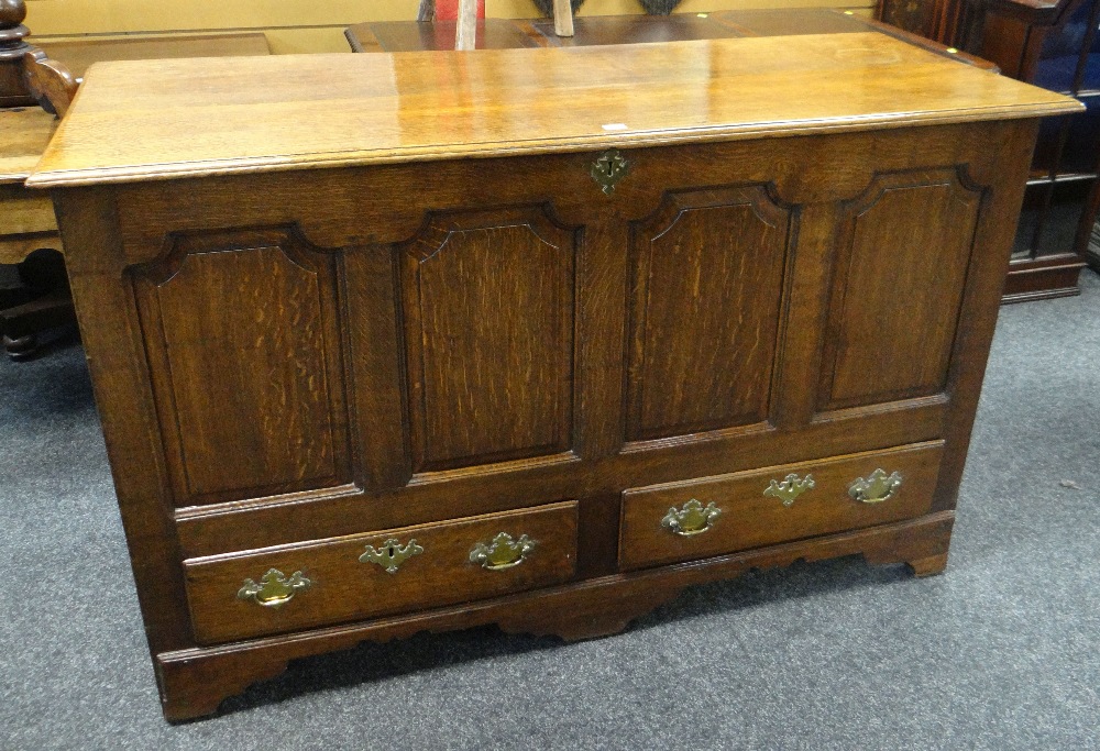 GOOD 19TH CENTURY OAK BLANKET CHEST of large form, two base drawers, four carved fielded panels to