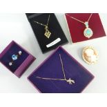 PARCEL OF JEWELLERY to include cameo brooch, earrings, pendant on chain ETC