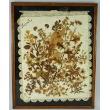 LATE 19TH / EARLY 20TH CENTURY SPECIMEN COLLAGE OF LEAVES & FOLIAGE, marked top '... variety of