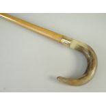 VINTAGE MAPLE WOOD WALKING STICK, engraved gold ferrule and curved horn handle