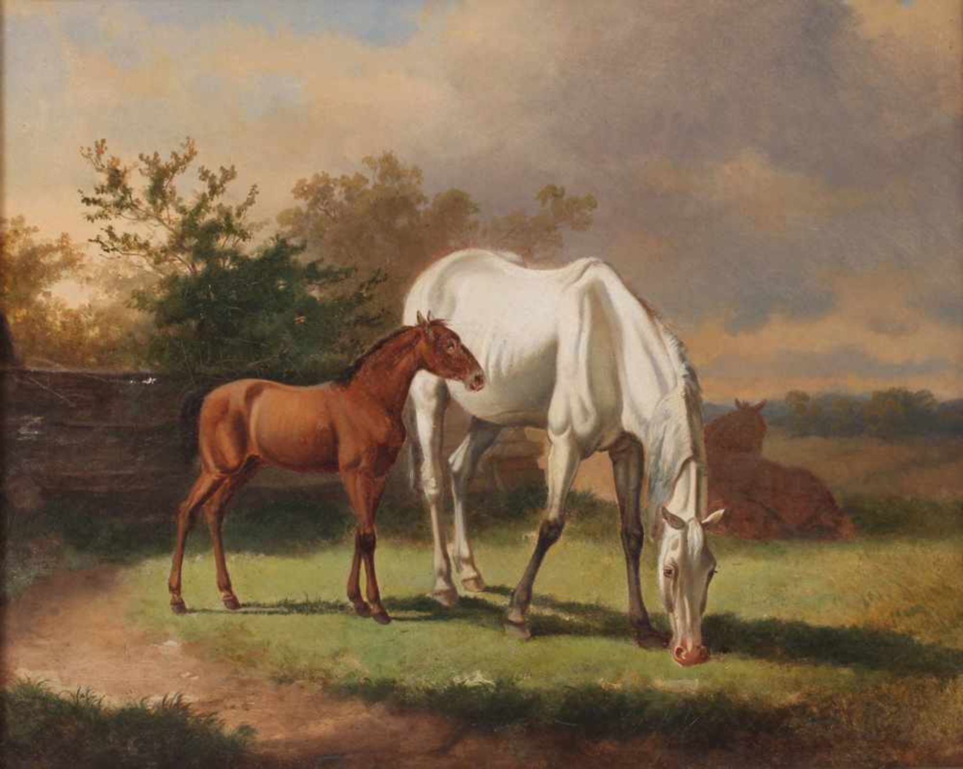 Unbekannt. 19./20. Jh.Pferde auf der Weide. Öl/Lwd. H: 35 x 49 cm. Rahmen H: 43 x 52 cm.