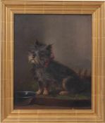 Müller, Moritz. München 1841 - 1899 ebenda.Sitzender Yorkshire Terrier in Erwartung vor seinem Napf.