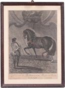 Ridinger, Johann Elias. Ulm 1698 - 1767 Augsburg.Paar Kupferstiche. "Le Trot à la Corde `