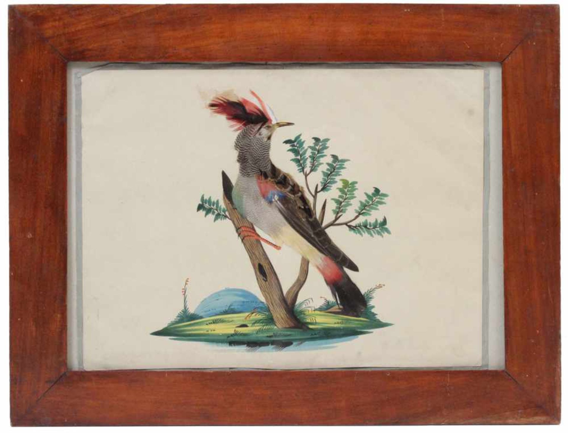 Federbild.Eger, 19. Jh. Auf Papier, aquarellierter Landschaftssockel mit Wiedehopf naturalistisch