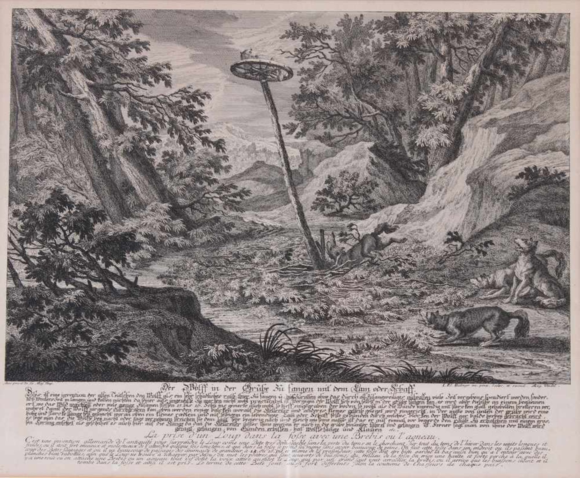 Ridinger. Johann Elias. Ulm 1698 - 1767 Augsburg.Paar Kupferstiche. Aus "Jagdbare Thiere". Titel " - Bild 2 aus 2