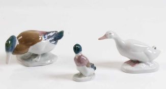 Konvolut.20. Jh. Porzellan, zum Teil farbig bemalt. Drei Enten. Weise Ente, Rosenthal Kunst-