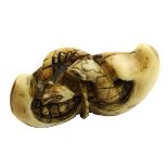 Netsuke aus Elfenbein, Schlange und Ratte in Nusschale, Japan Ende 19. Jh., vollplastisch aus