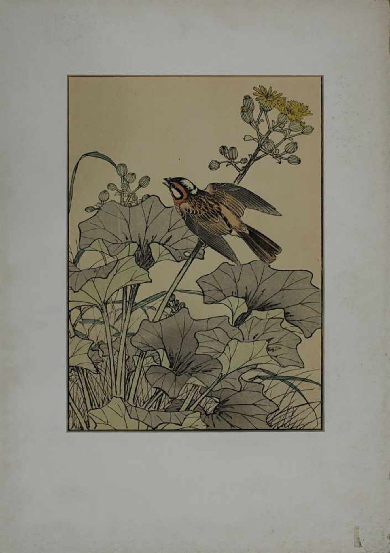 Imaro Keinen (1845-1924), japanischer Farbholzschnitt mit Vogelmotiv aus der 1891 erschienenen Serie - Bild 2 aus 3