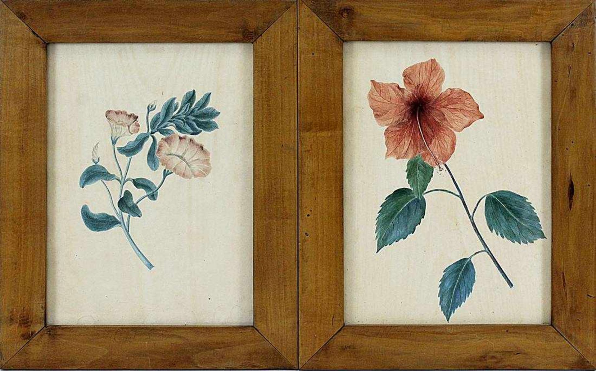 8 Aquarelle und Lithographien mit Blumenmotiven, deutsch, 19. Jh.: 5 Aquarelle mit Hibiskus, Rose, - Image 3 of 3