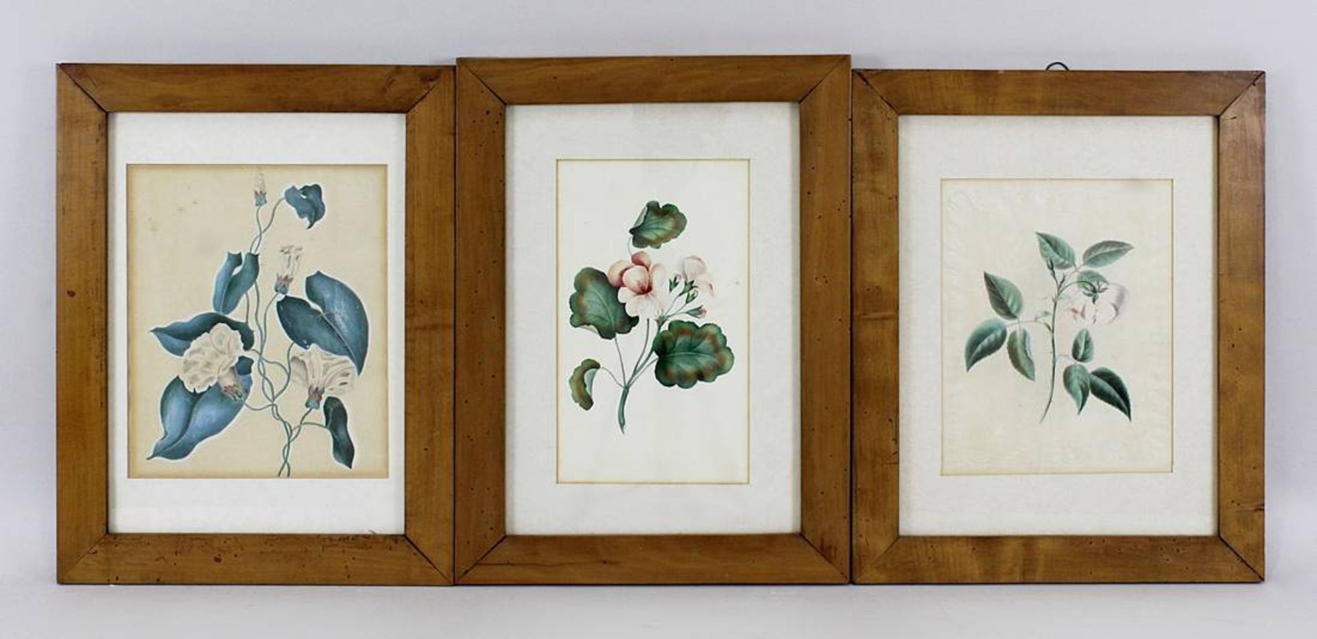 8 Aquarelle und Lithographien mit Blumenmotiven, deutsch, 19. Jh.: 5 Aquarelle mit Hibiskus, Rose,