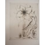 Kiyoshi HASEGAWA - Fleur de printemps - Eau-forte originale sur vélin fin - Sur [...]