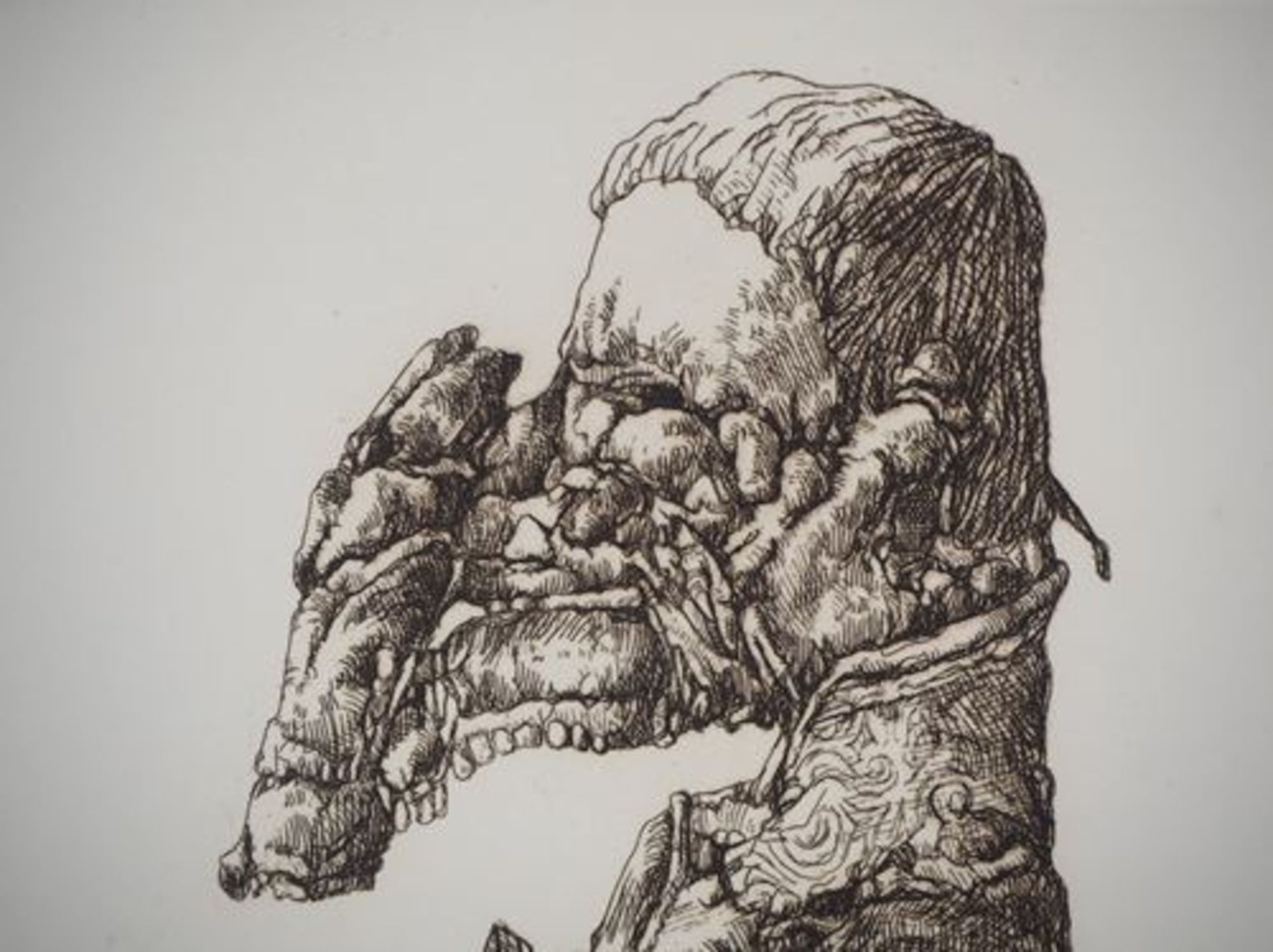 Jose HERNANDEZ, Profile of a Monster Original engraving on Vellum Signed in [...] - Bild 3 aus 6