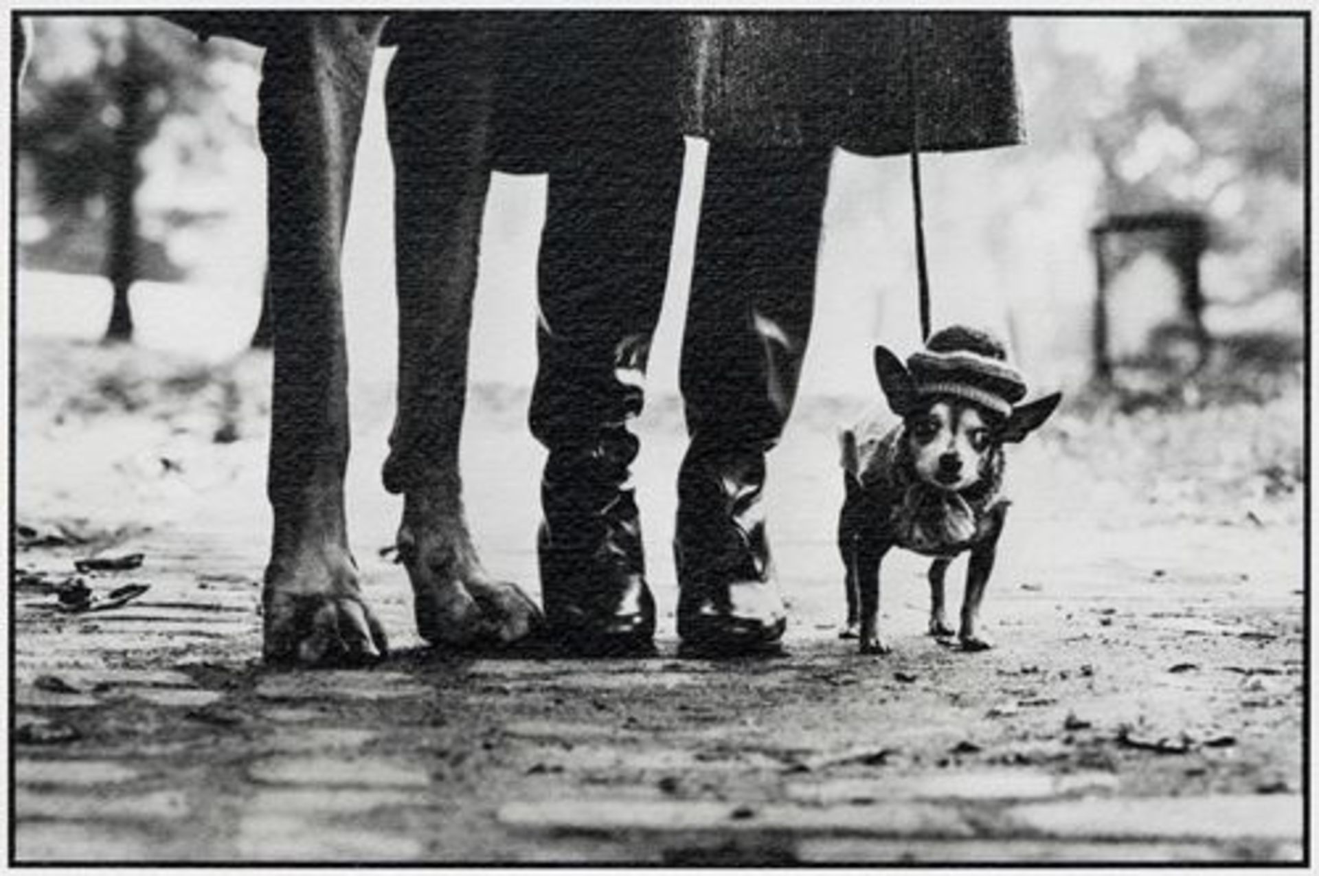 Famous photo by Elliott Erwitt (1928 - ) titled 'USA. New York' 1974. [...]