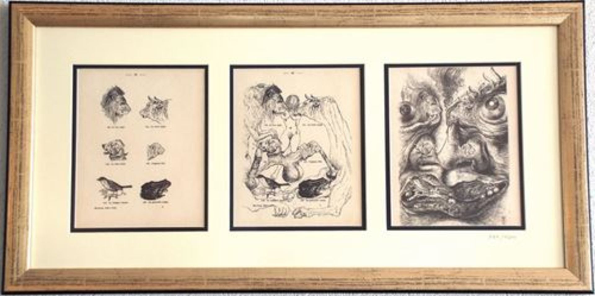 Salvador Dali - Les Métamorphoses érotiques Offset on Zerkall paper Extracted form [...]