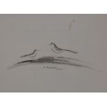Kiyoshi HASEGAWA Couple of birds Original drawing with ink wash Signed On BFK Rives [...]