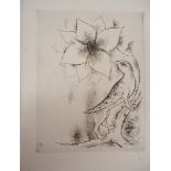 Kiyoshi HASEGAWA Spring flower Original engraving on fine Vellum On fine Vellum, [...]