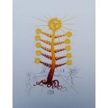 Salvador DALI (1904-1989) (after) The sun tree - Lithograph from an original of [...]