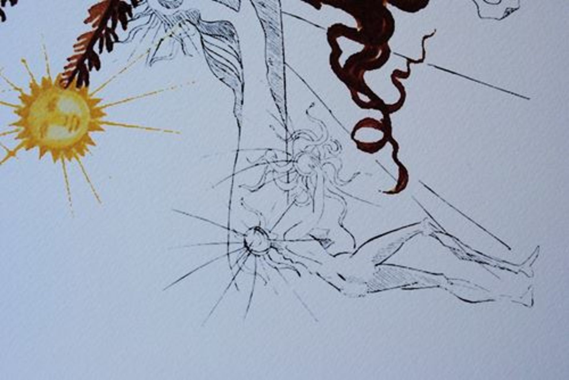 Salvador DALI (1904-1989) (after) The sun tree - Lithograph from an original of [...] - Bild 4 aus 5