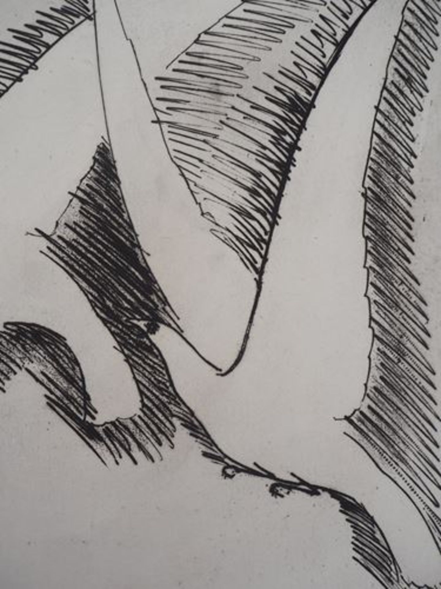 Kees VAN DONGEN The seagulls, 1930 Original etching Signed in the plate On vellum [...] - Bild 5 aus 6