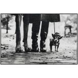 Famous photo by Elliott Erwitt (1928 - ) titled 'USA. New York' 1974. Silver gelatine [...]