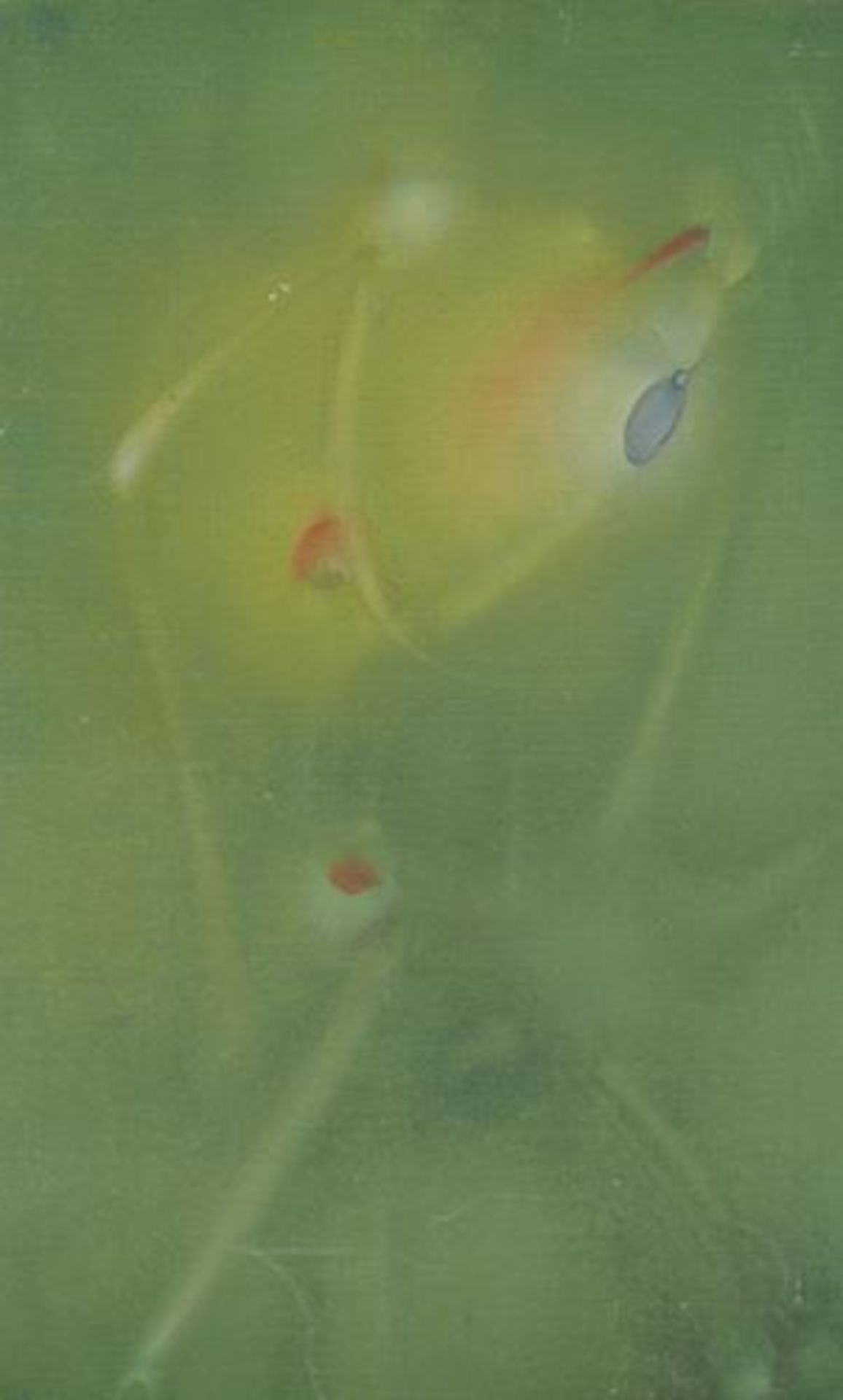 Mauro MEJIAZ (1930-2000) Pathological corbel arch, 1971 Oil on canvas Dimensions: [...] - Bild 2 aus 3