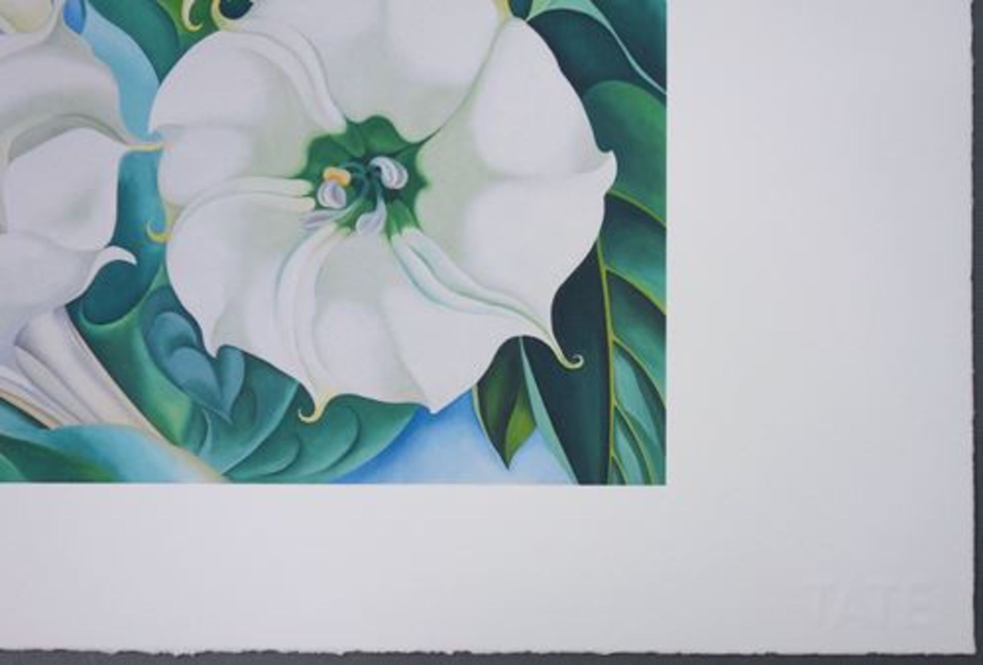 Georgia O'KEEFFE Jimson Weed 1936 Giclee on wove Sommerset 30 x 40 cm Dry stamp from [...] - Bild 4 aus 4